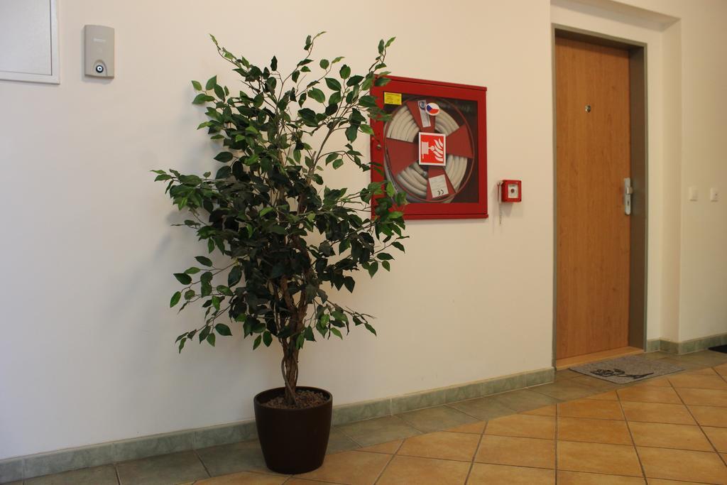 Apartment Promenada Poděbrady エクステリア 写真