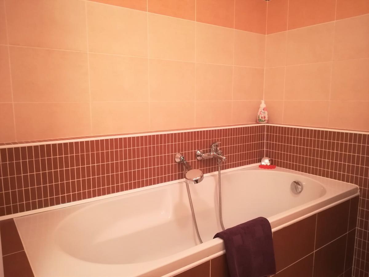 Apartment Promenada Poděbrady エクステリア 写真
